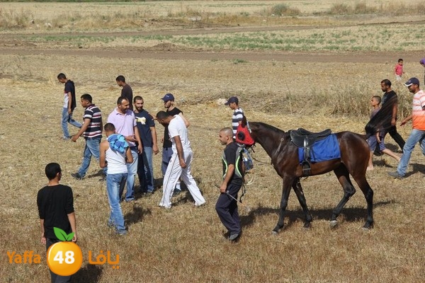 horse race 0602 (36).JPG